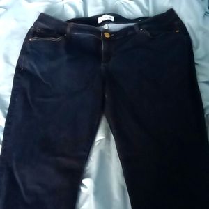 Dark Blue Plus Size Jeans